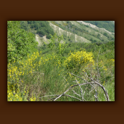 CIVITA DI BAGNOREGIO 076E.jpg